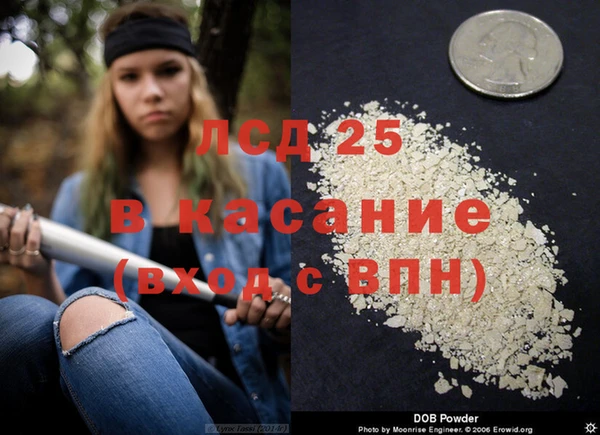 прущие грибы Нефтегорск
